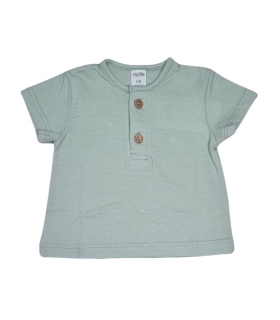 Conjunto Viridis de Rapife